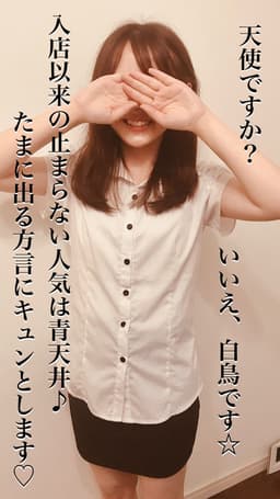 Audrey (オードリー)    白鳥